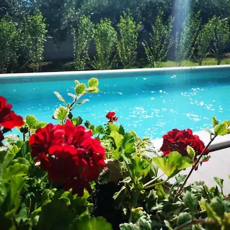 House Gordana For 6-8 Persons With New Jacuzzi And Swimming Pool